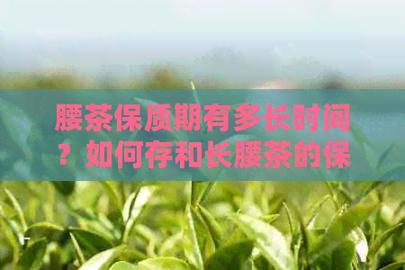 腰茶保质期有多长时间？如何存和长腰茶的保质期？