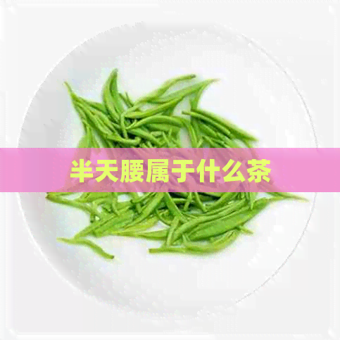 半天腰属于什么茶