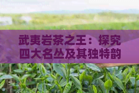 武夷岩茶之王：探究四大名丛及其独特韵味，了解哪种茶叶是武夷茶王？