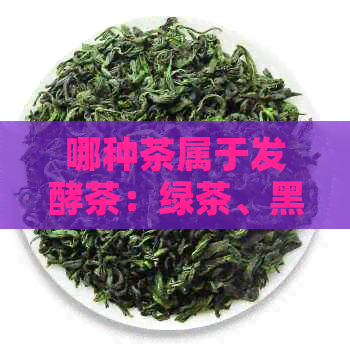 哪种茶属于发酵茶：绿茶、黑茶、白茶、黄茶、乌龙茶？