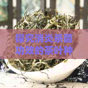 探究消炎杀菌功效的茶叶种类及其美味口感