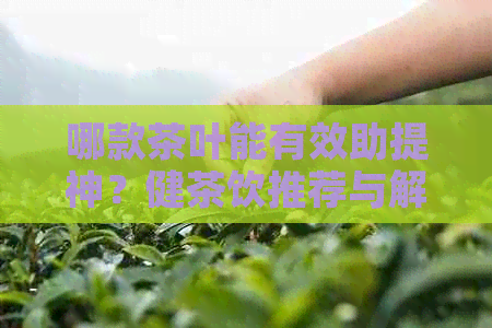 哪款茶叶能有效助提神？健茶饮推荐与解析