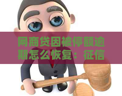 网商贷因被停额逾期怎么恢复：、额度、使用全攻略