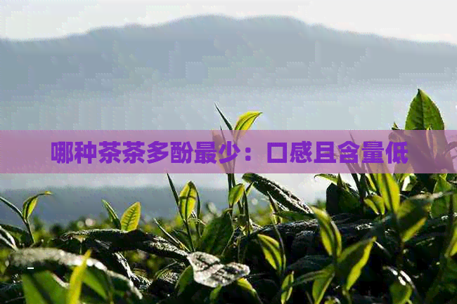 哪种茶茶多酚最少：口感且含量低