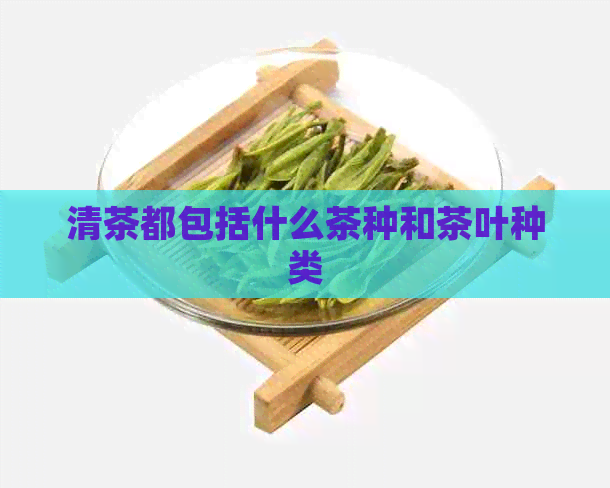 清茶都包括什么茶种和茶叶种类