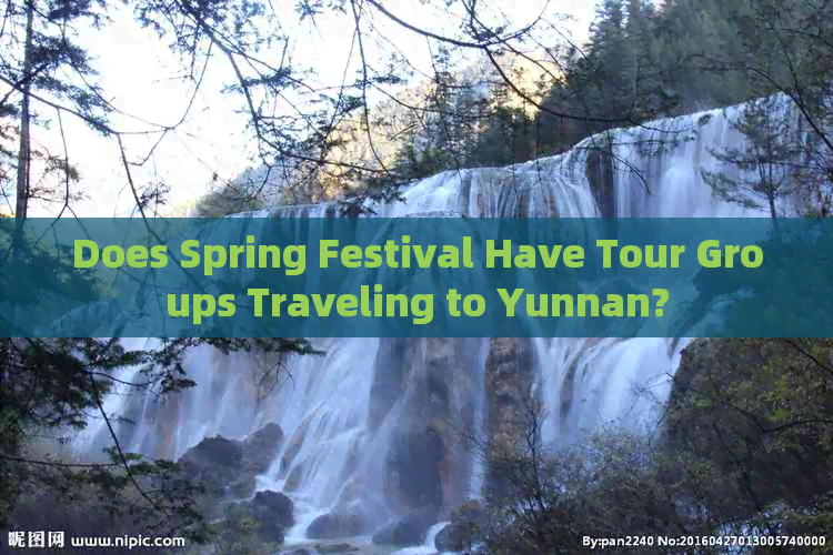 Does Spring Festival Have Tour Groups Traveling to Yunnan?