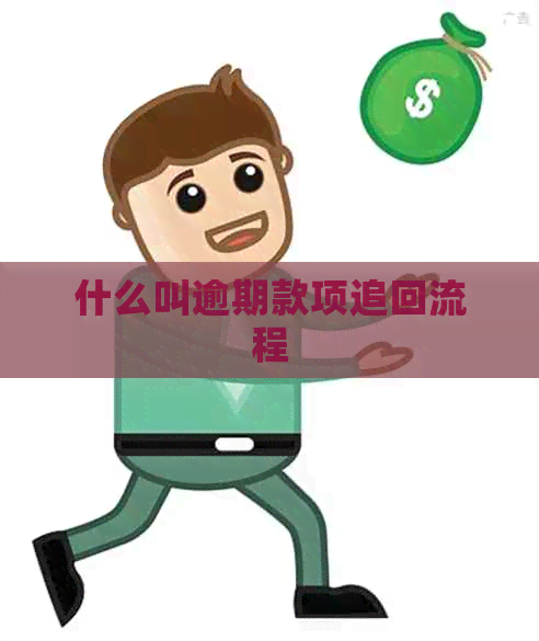 什么叫逾期款项追回流程