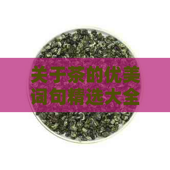 关于茶的优美词句精选大全