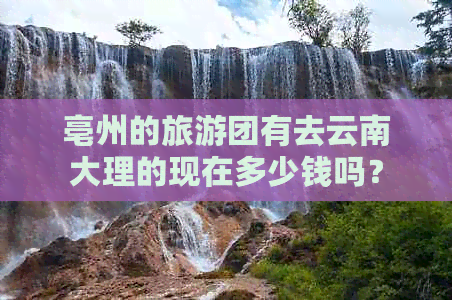 亳州的旅游团有去云南大理的现在多少钱吗？