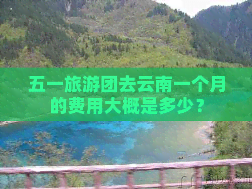 五一旅游团去云南一个月的费用大概是多少？