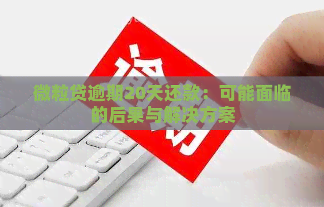 微粒贷逾期20天还款：可能面临的后果与解决方案