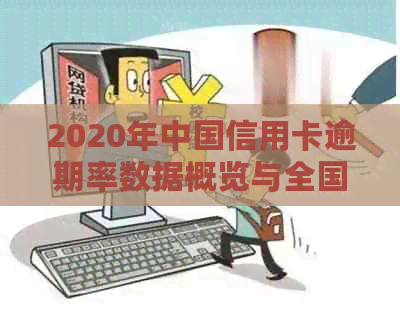 2020年中国信用卡逾期率数据概览与全国情况比较