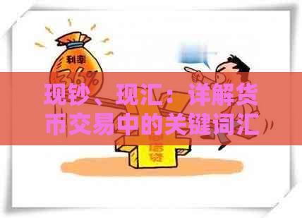 现钞、现汇：详解货币交易中的关键词汇与含义