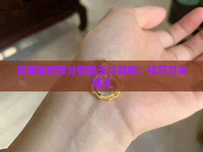 肉眼如何区分和田玉与翡翠：技巧与关键点