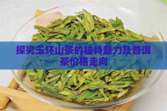 探究玉环山茶的独特魅力及普洱茶价格走向