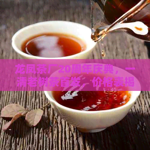 龙凤茶厂20周年庆典，一清老树茶首发，价格表揭秘