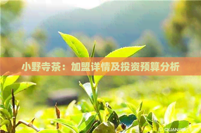 小野寺茶：加盟详情及投资预算分析