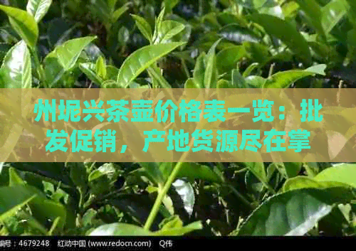 州坭兴茶壶价格表一览：批发促销，产地货源尽在掌握