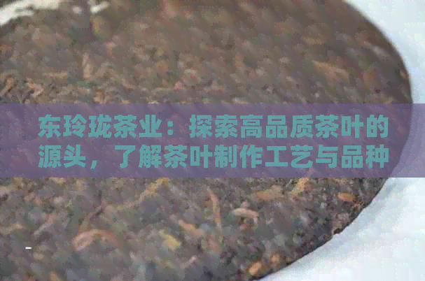 东玲珑茶业：探索高品质茶叶的源头，了解茶叶制作工艺与品种选择