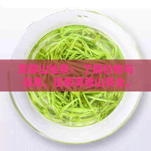 芙蓉山仙茶： 了解价格与品质，探索芙蓉山茶业。