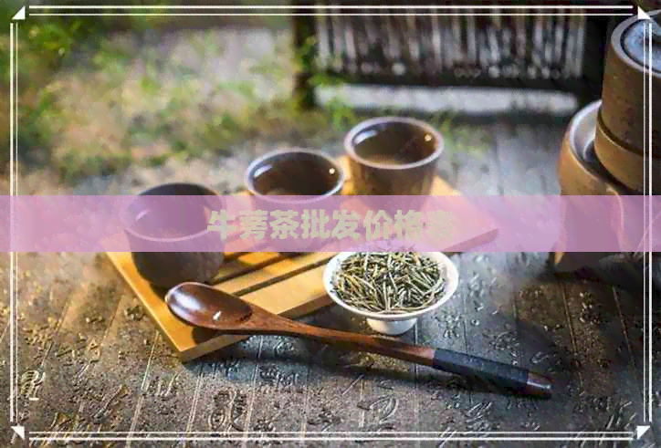 牛蒡茶批发价格表