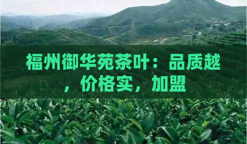 福州御华苑茶叶：品质越，价格实，加盟