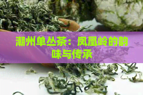 潮州单丛茶：凤凰岭的韵味与传承