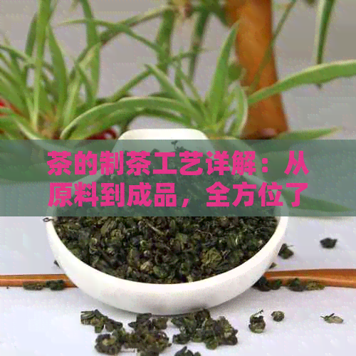 茶的制茶工艺详解：从原料到成品，全方位了解茶叶制作过程