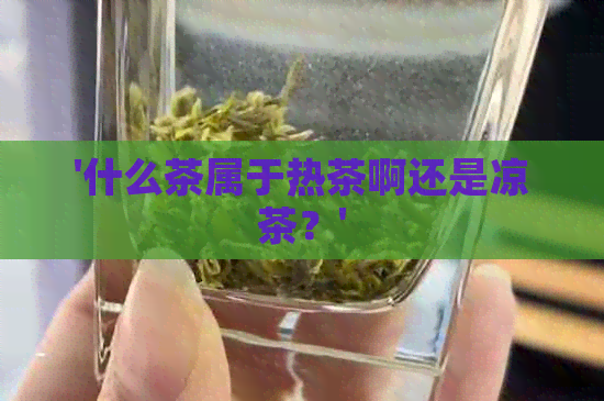 '什么茶属于热茶啊还是凉茶？'