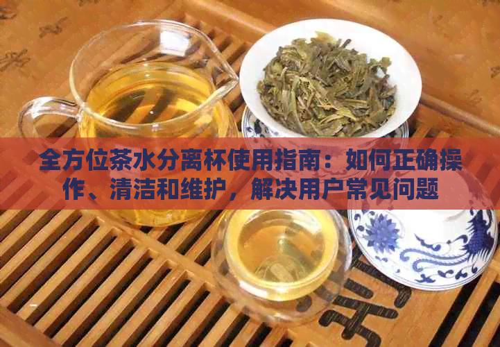 全方位茶水分离杯使用指南：如何正确操作、清洁和维护，解决用户常见问题