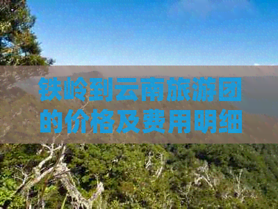 铁岭到云南旅游团的价格及费用明细，包括交通、住宿和景点门票等全面信息