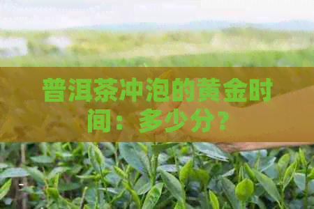 普洱茶冲泡的黄金时间：多少分？