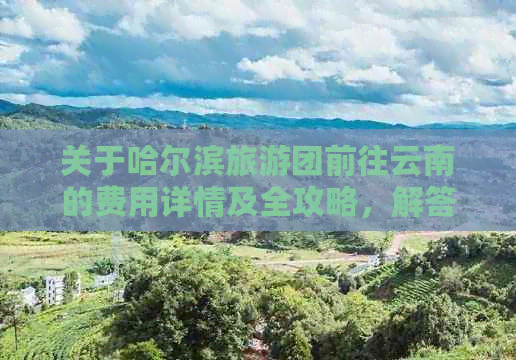 关于哈尔滨旅游团前往云南的费用详情及全攻略，解答您所有可能的疑问