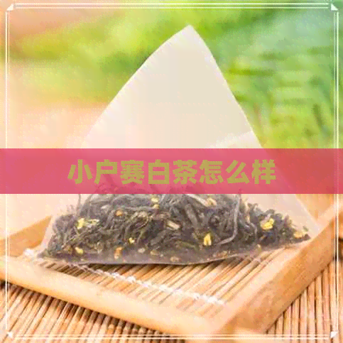 小户赛白茶怎么样