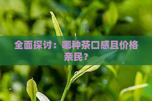 全面探讨：哪种茶口感且价格亲民？