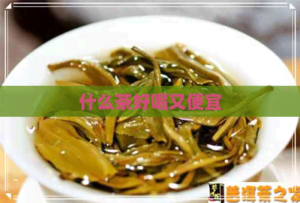 什么茶好喝又便宜