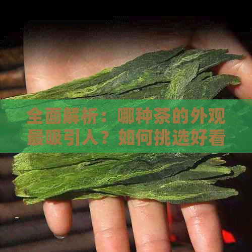 全面解析：哪种茶的外观最吸引人？如何挑选好看的茶叶？