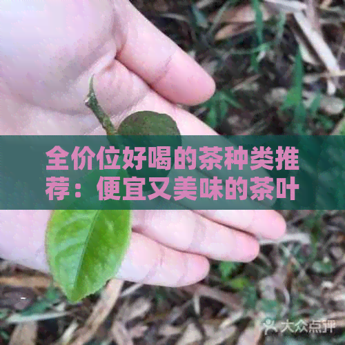 全价位好喝的茶种类推荐：便宜又美味的茶叶品种一网打尽！