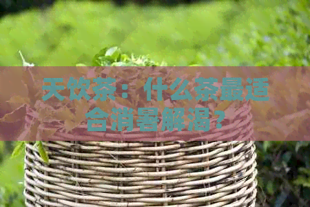 天饮茶：什么茶最适合消暑解渴？