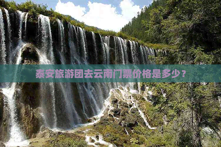 泰安旅游团去云南门票价格是多少？