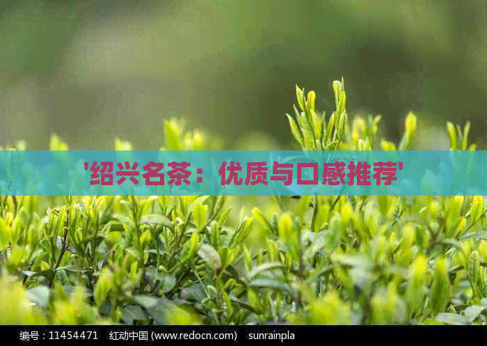 '绍兴名茶：优质与口感推荐'