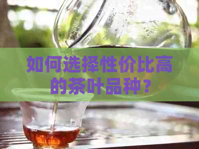 如何选择性价比高的茶叶品种？