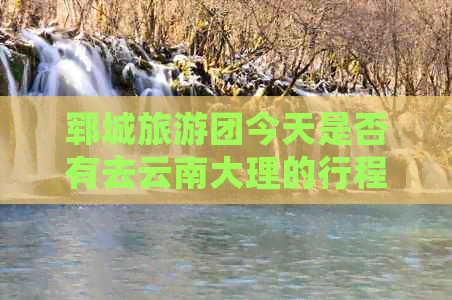 郓城旅游团今天是否有去云南大理的行程？如果有，请提供更多详细信息。