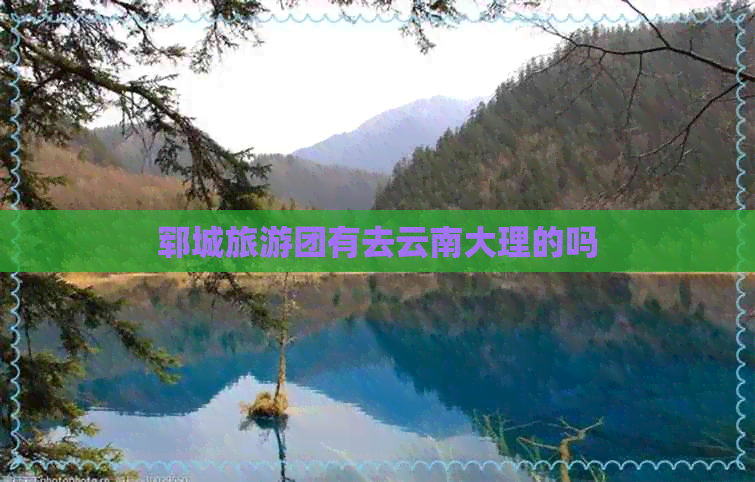 郓城旅游团有去云南大理的吗