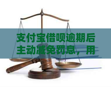 支付宝借呗逾期后主动减免罚息，用户质疑真实性