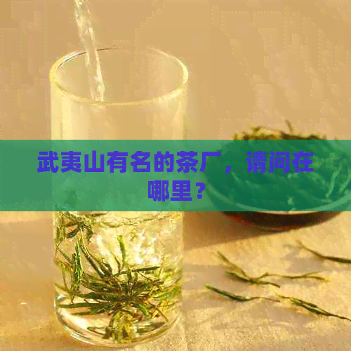 武夷山有名的茶厂，请问在哪里？