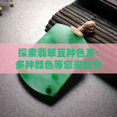 探索翡翠豆种色系：多种颜色等您来欣赏