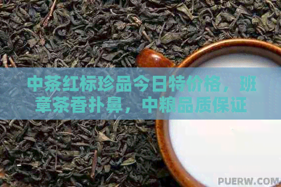 中茶红标珍品今日特价格，班章茶香扑鼻，中粮品质保证