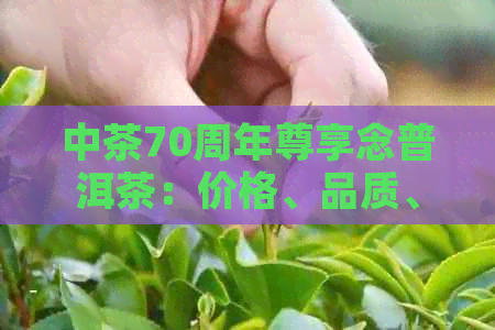 中茶70周年尊享念普洱茶：价格、品质、历与传承的全面解析