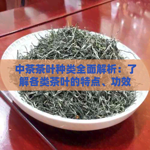 中茶茶叶种类全面解析：了解各类茶叶的特点、功效与冲泡方法